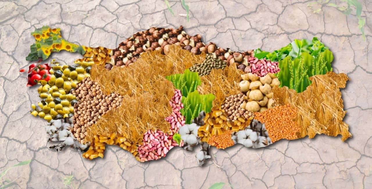 Tarım Ürünleri Üretici Fiyatları Yıllık Yüzde 40,10 Arttı