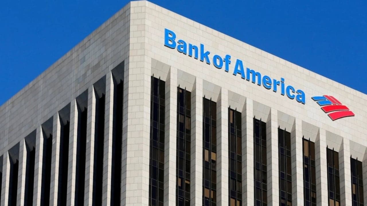 BofA, SASA Hisselerinde Önemli Satış Gerçekleştirdi